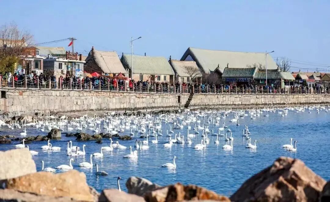 ae7fb78a0f4b920cbdd04261ba78e5bd.jpeg ae7fb78a0f4b920cbdd04261ba78e5bd.jpeg